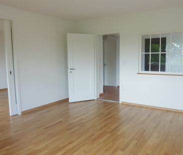 Attraktive Wohnung mit viel Charme in Zürich-Höngg! - Foto 3