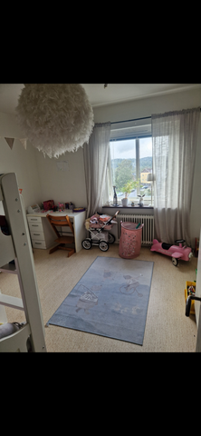 Engelbrektsgatan, Borås - Foto 5