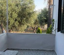 Μονοκατοικία για ενοικίαση - Χαλκίδα, - Photo 3