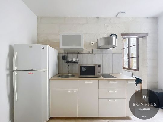 A LOUER AVIGNON (84000) INTRA-MUROS : charmant T1 BIS meublé - au coeur du centre ville !, - Photo 1