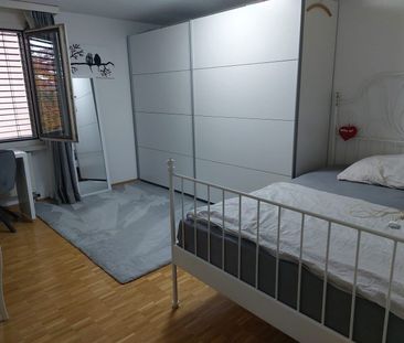 Silencieux avec emballage vert - Foto 1