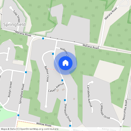 14 Holland Close, NSW 2250, Springfield