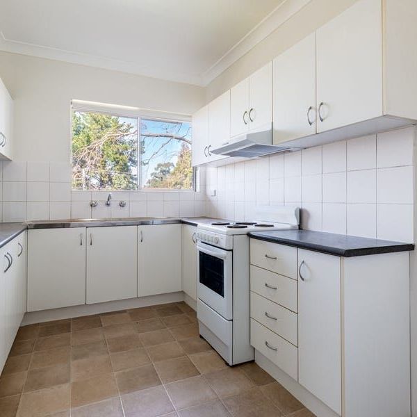 Extra Large Renovated Apartment - Photo 1