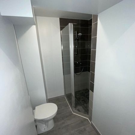 Location Appartement 1 pièce 36m² - Photo 3