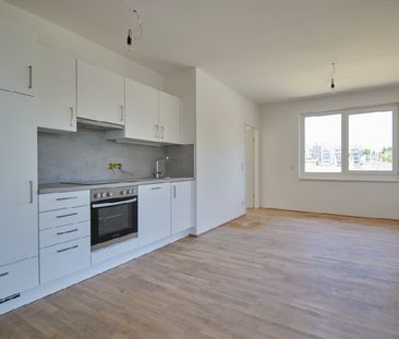 Gemütliche 3-Zimmer-Wohnung in ruhiger Lage - Photo 6