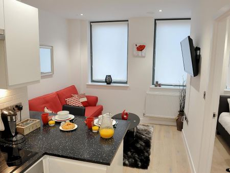 1 bedroom flat to rent - Photo 2