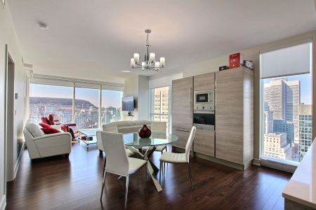 Condo for rent, Montréal (Ville-Marie) - Photo 4