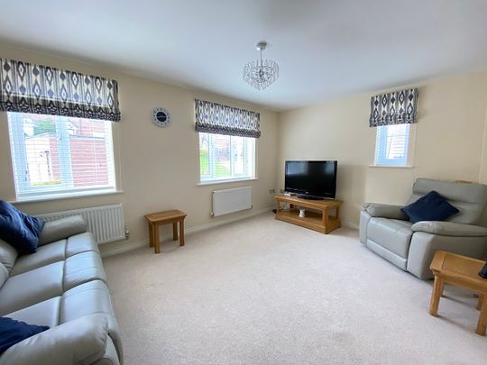 Y Deri, Derwen Fawr, Swansea, SA2 - Photo 1