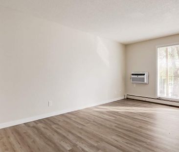 Renovated Suite - 1 Bedroom - Photo 3