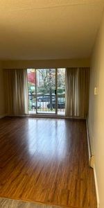 Large One Bed near Marpole Loop Available March 1st or earlier - Photo 4