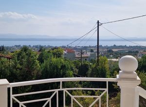Μονοκατοικία για ενοικίαση - Ερέτρια, - Φωτογραφία 4
