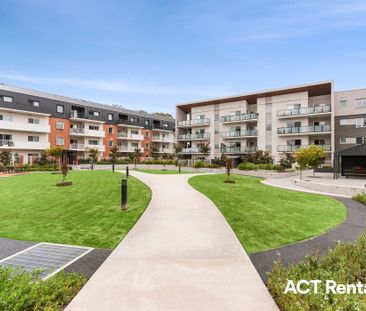 49/16 Bradfield Place, Downer ACT 2602 - Apartment For Rent | Domain - Photo 4