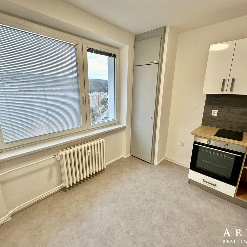 Pronájem bytu 1+1 36 m², Okružní, Blansko - Photo 1