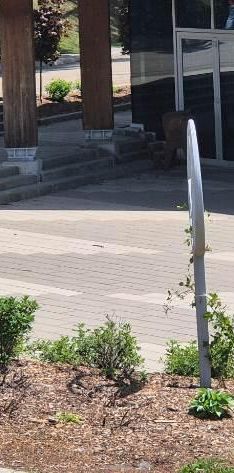 Logement à louer - Photo 1