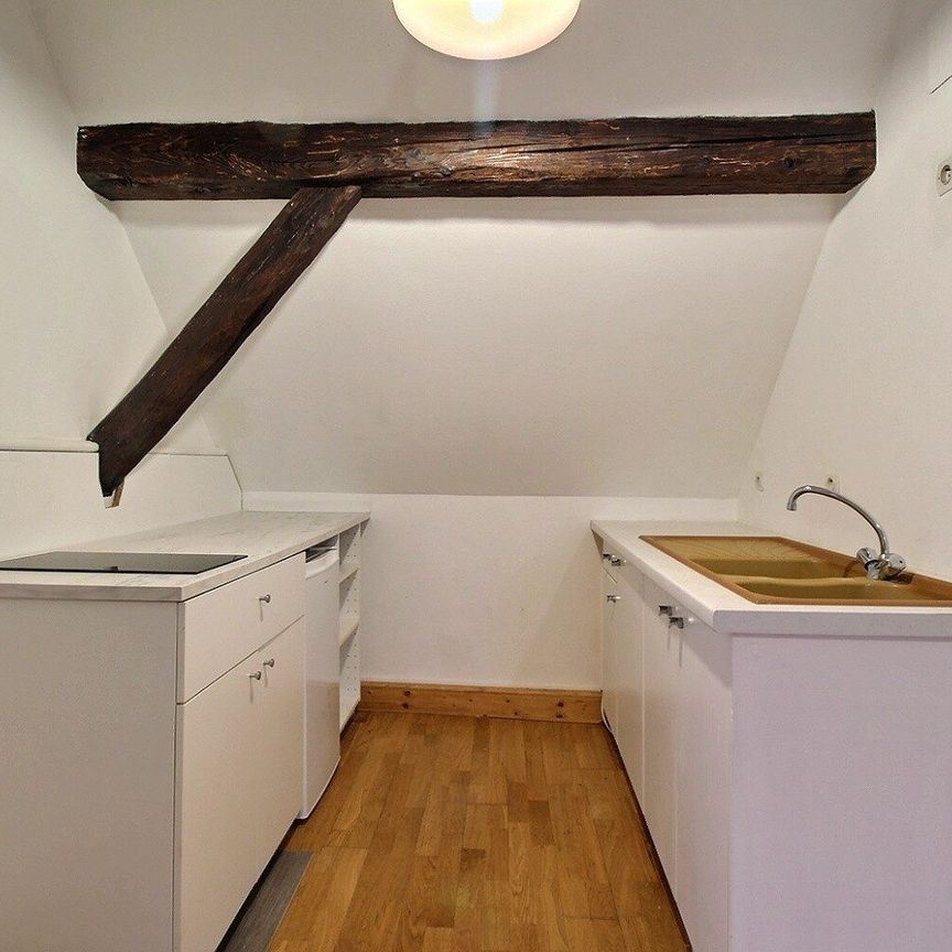 Location Appartement 1 pièce 20m² VILLE 67220 - Photo 1