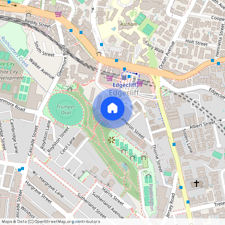 58 CAMERON STREET, NSW 2027, Edgecliff