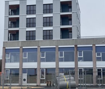 3.5 Zimmer, 84 m², 2. Stock - Photo 6