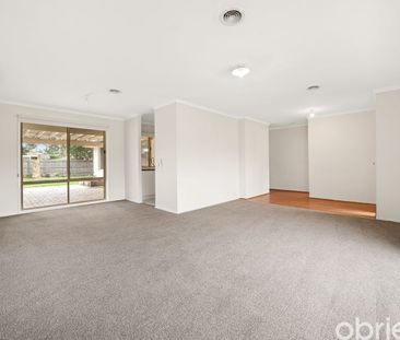 Imagine Space for the Whole Family Can You Picture It? - Photo 2