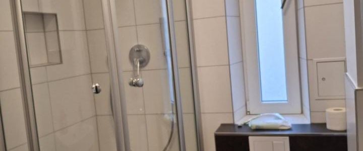 Sanierte und vollmöbilierte 1-Zimmer-Wohnung zu Vermieten - Foto 1