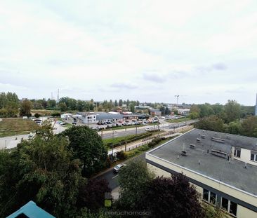 Mieszkanie na wynajem 37,3 m², Gorzów Wielkopolski, os. Dolinki - Zdjęcie 5