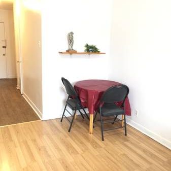 STUDIO AT THE FRONT OF LAURIER SUBWAY STATION ,MONTHLY LEASE - Photo 4