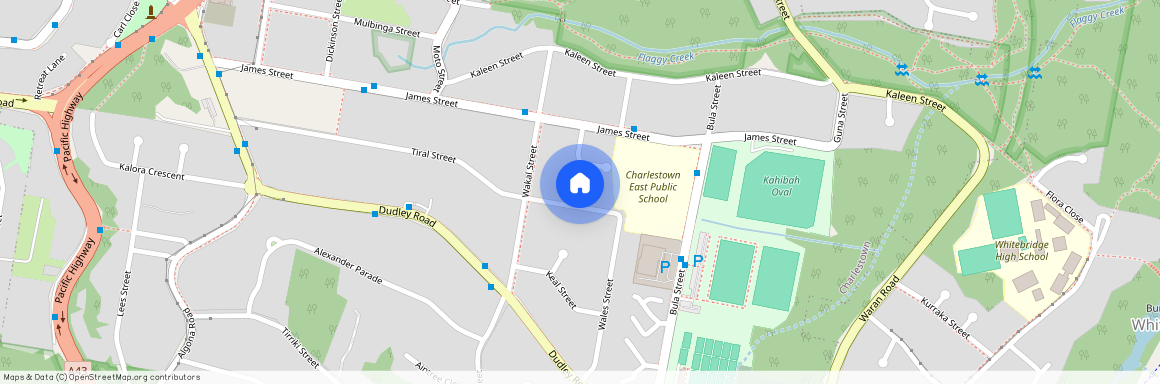 85 Tiral Street, NSW 2290, Charlestown