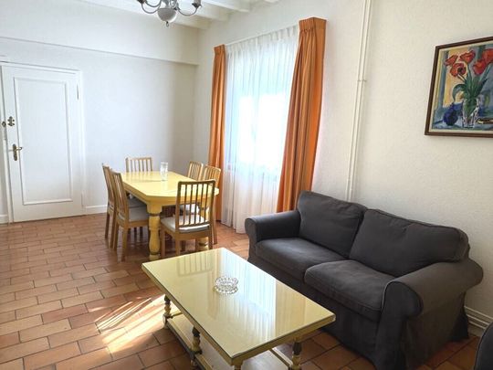 SPECIAL HOLIDAY OFFER!! 4-room furnished apartment in Carouge (Geneva) - Photo 1