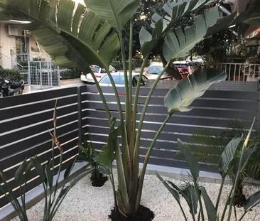 Μονοκατοικία για ενοικίαση Σούρμενα (Ελληνικό) - Photo 3