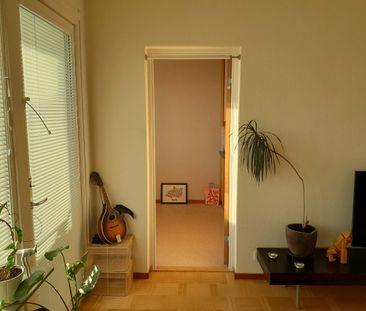 Regementsgatan, Malmö - Foto 2