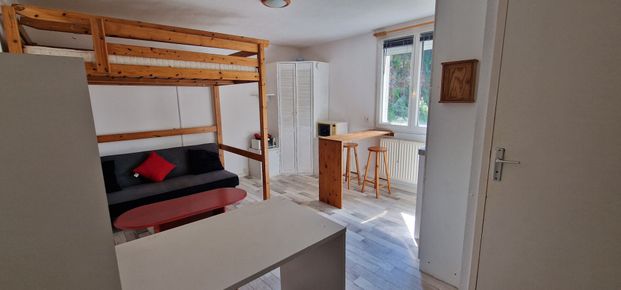 Location Appartement 1 pièce 19m² - Photo 1