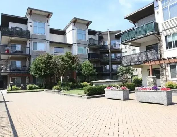 Burnett St 11935 | 11935 Burnett Street, Maple Ridge - Photo 1