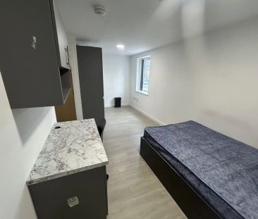 Gold Plus Studio - Photo 5