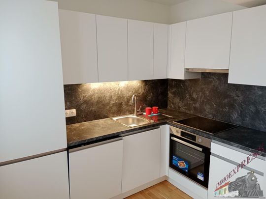 1210 Wien, Luxuswohnung mit 2 Terrassen, Fernblick, 2 Zimmer mit exklusivem Flair - Foto 1