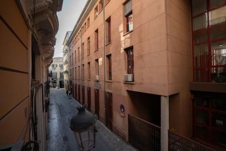 Carrer de lAlmudí, Valencia, Valencian Community 46003 - Photo 2