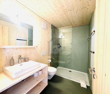 WONDERFUL VIEW ON THE RIGI - Photo 6