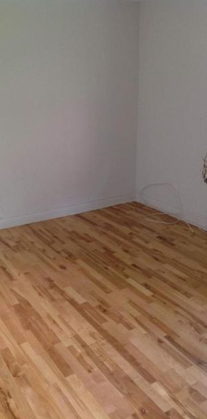 1 CH - 1 SDB - Montréal - $1,250 /mo - Photo 1