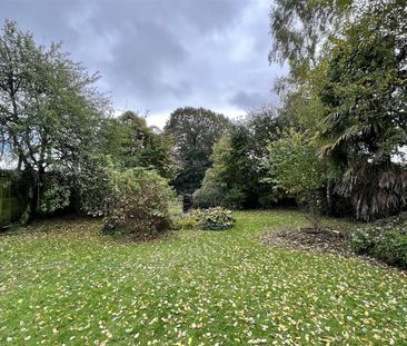 Hedge End, Winterborne Stickland, Blandford Forum, DT11, Blandford ... - Photo 6