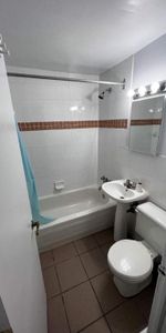 GHETTO MCGILL- STUDIO RENOVÉ & MEUBLÉ- EMPLACEMENT EXCEPTIONNEL - Photo 4