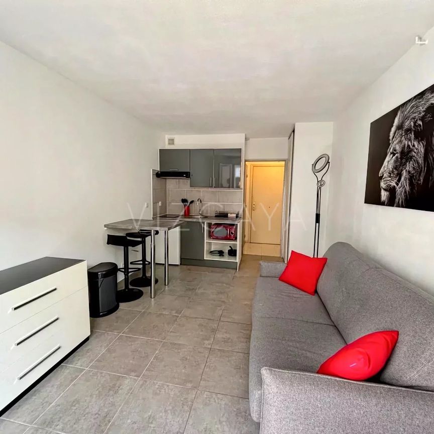 Location Appartement 1 pièce 19m² NICE 06300 - Photo 1