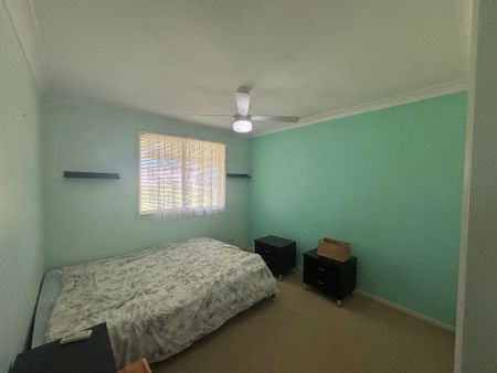 Elegant Eucalyptus - Photo 4