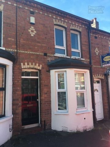 24 Chadwick Street, Belfast BT9 7FD - Photo 4