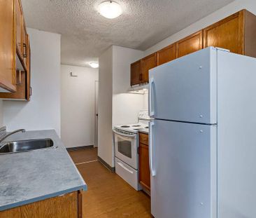 Renovated Suite - 1 Bedroom - Photo 5