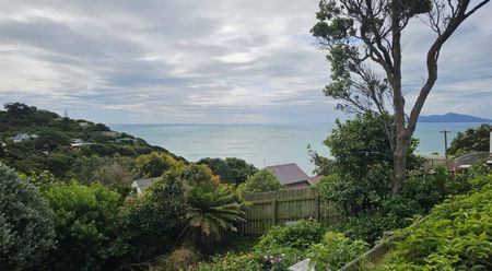 4 bedrooms, single level, garage, Pukerua Bay - Photo 4