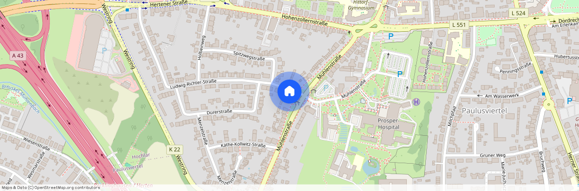 Ludwig-Richter-Str. 1, 45659 Recklinghausen OT Mitte