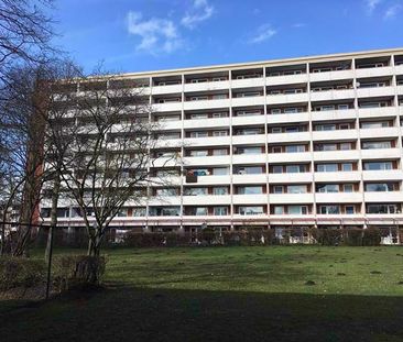 Am Hohenmoor 11, 24568 Kaltenkirchen - Photo 4