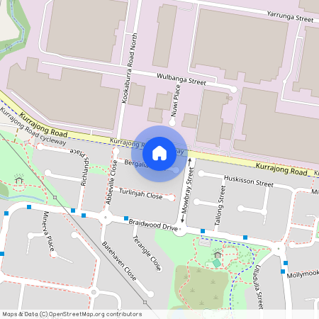 16 Bergalia Close, NSW 2170, Prestons