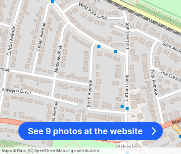 Birch Avenue, Ashton-on-Ribble - Photo 1