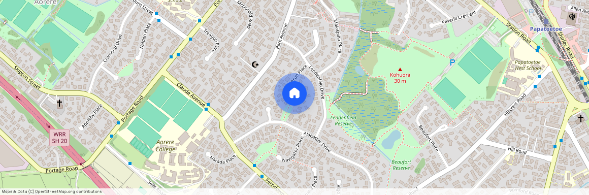 16 Malte Brun Place, Papatoetoe, Manukau