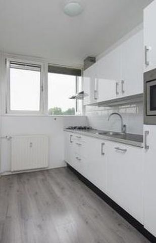 Androsdreef 3562 XP Utrecht - Photo 3