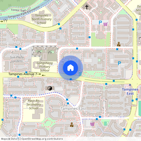449 Tampines Street 42 (520449), Singapore